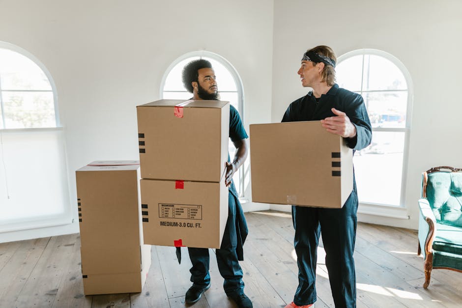 Two movers from Man With a Van Charlton are inside a bright, spacious room with light timber flooring and large arched windows allowing natural daylight to fill the space. One mover, with curly hair and a beard, is standing upright and holding a medium-sized cardboard box at waist height. The second mover, wearing a headband and dressed in dark clothing, is engaged in conversation and holding another cardboard box. Additional boxes are stacked on the floor nearby, some wrapped with red packing tape and others without. The furniture includes a green velvet armchair with wooden legs positioned against the wall on the right. Visible materials in the scene include the cardboard boxes, plastic-wrapped packing tapes, and the clothing of the movers, indicating a moving or home relocation process. This image reflects the packing and loading stages of furniture transport during house removals, with natural lighting highlighting the domestic environment, as part of the services provided by Man With a Van Charlton.